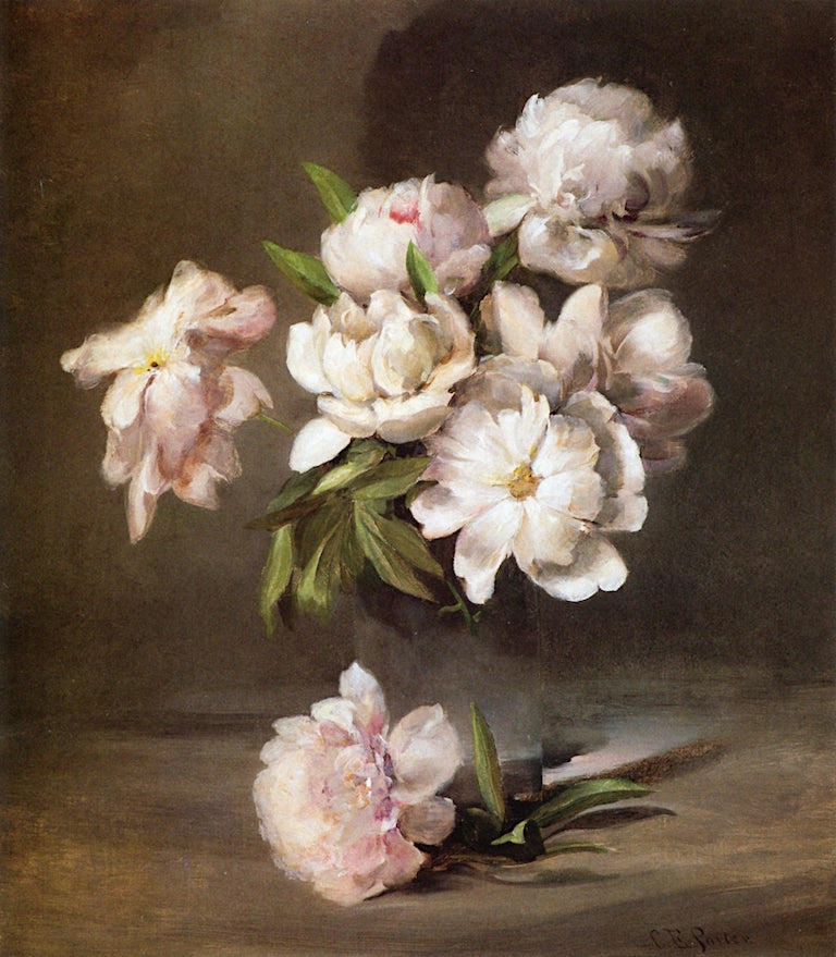 Peonies in a Vase, vintage artwork by Charles Ethan Porter, 12x8" (A4) Poster