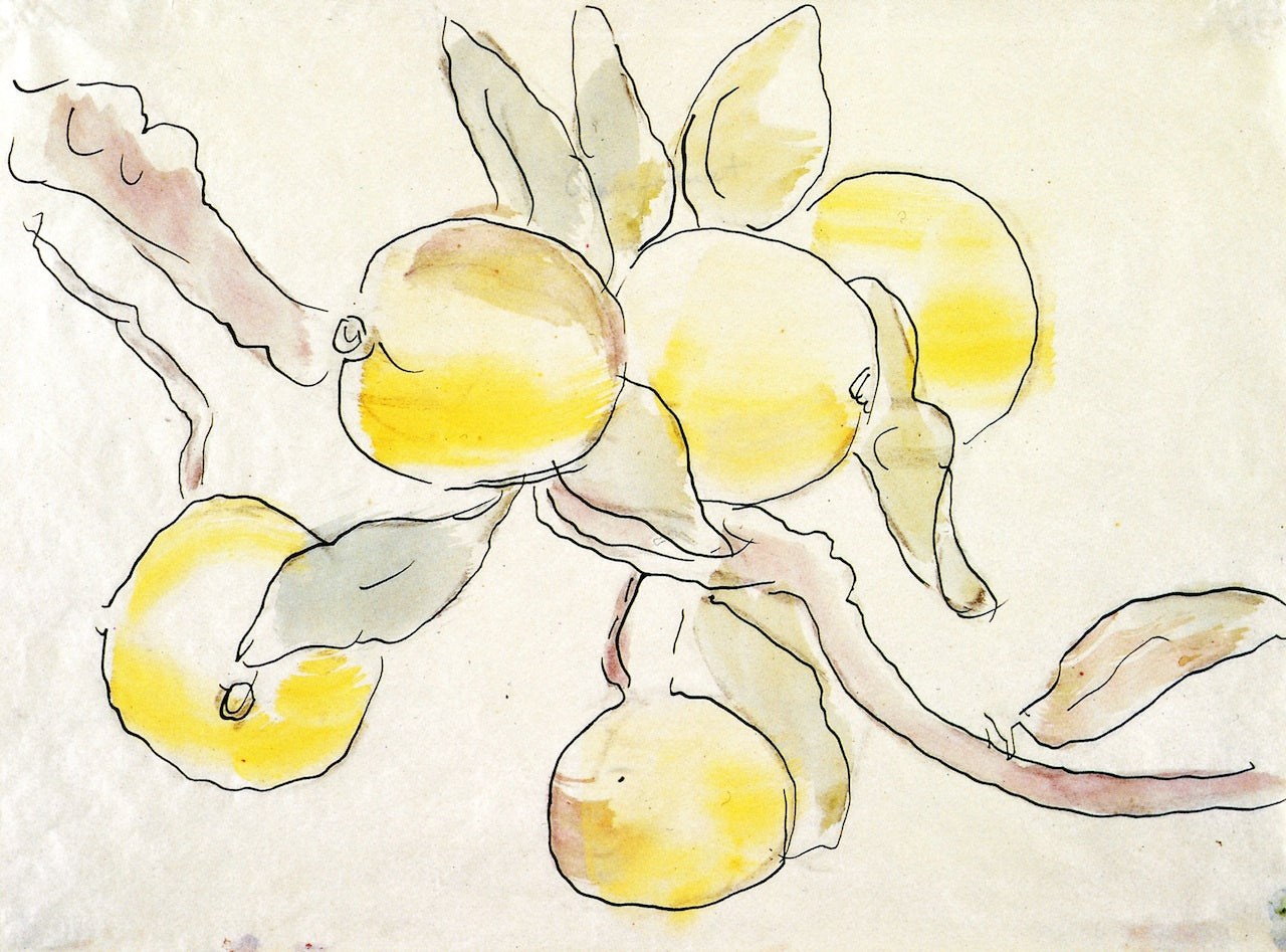 Branch with Apples, vintage artwork by Christian Rohlfs, 12x8" (A4) Poster