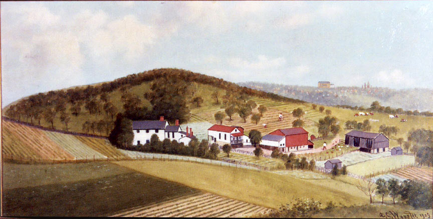 Haudenshield Vineyard, Green Tree, vintage artwork by Austin Wooster, 12x8" (A4) Poster