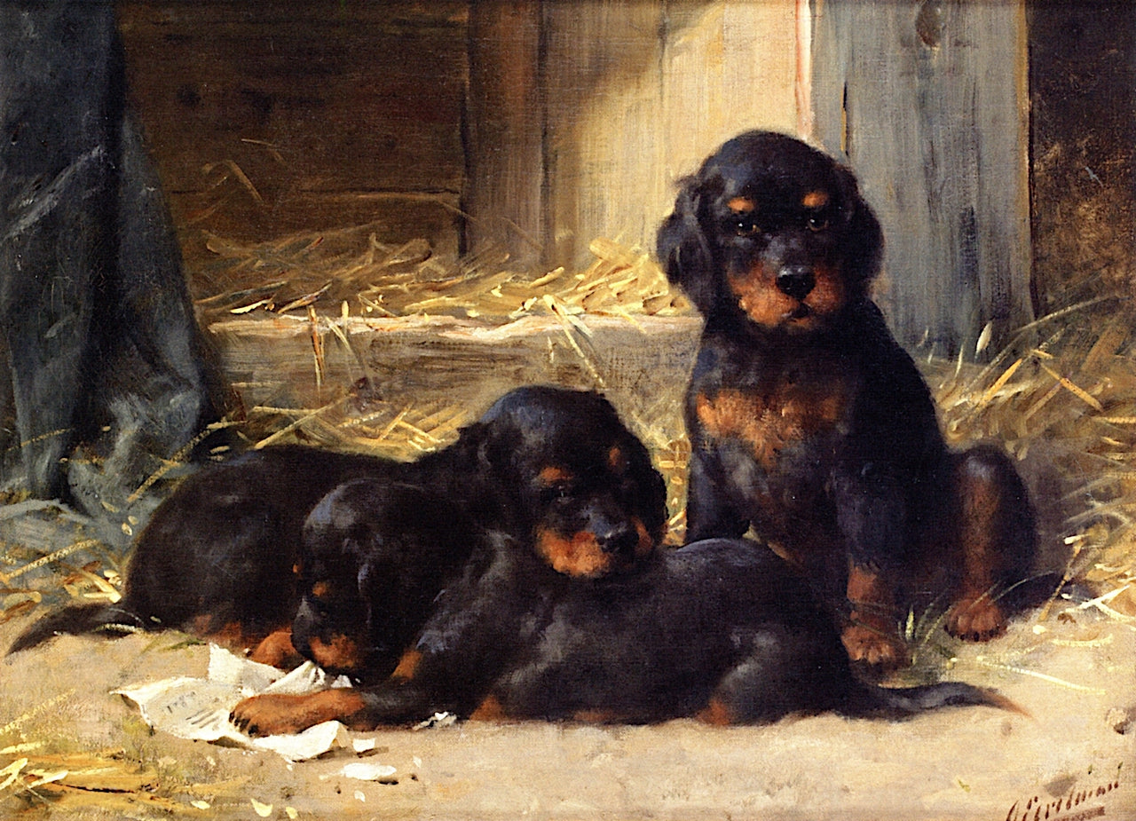 Gordon Setter Puppies, vintage artwork by Otto Eerelman, 12x8" (A4) Poster