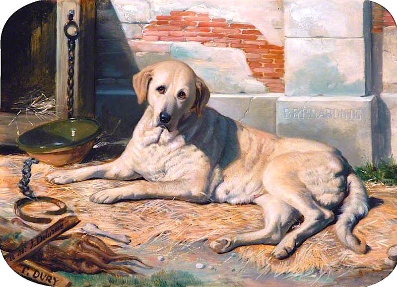 Bernardine (Mrs Bowes's Dog), vintage artwork by Antoine Dury, A3 (16x12") Poster Print
