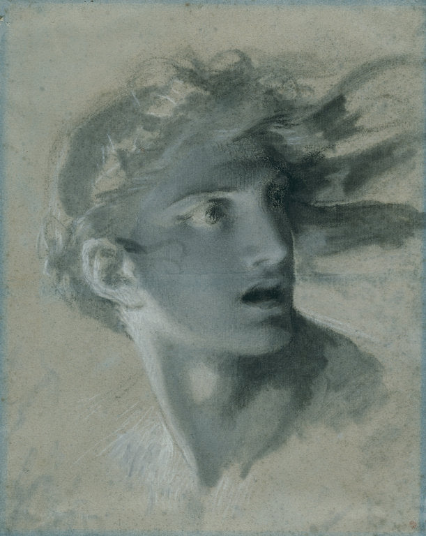 Head of Vengeance, vintage artwork by Pierre-Paul Prud'hon, 12x8" (A4) Poster