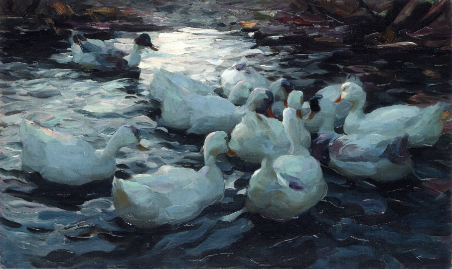 Ducks Feeding by Alexander Koester,A3(16x12")Poster