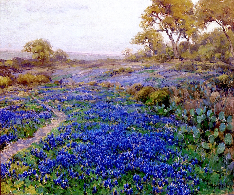 at Twilight, North of San Antonio, Texas by Julian Onderdonk,16x12(A3) Poster