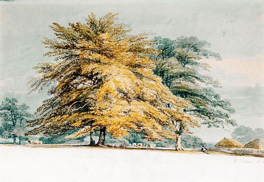 A Beech Copse near Haystacks, vintage artwork by Joseph Mallord William Turner, 12x8" (A4) Poster