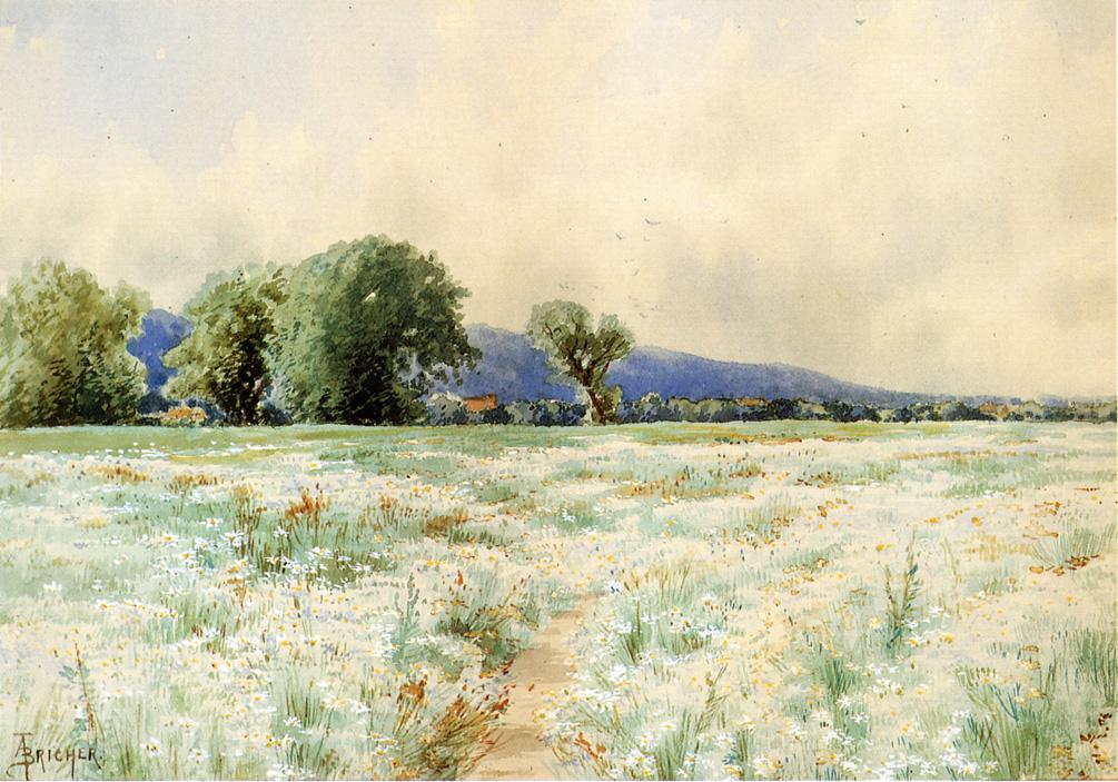 The Daisy Field, vintage artwork by Alfred Thompson Bricher, 12x8" (A4) Poster