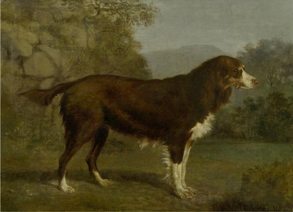 Dog in a Landscape, vintage artwork by Jacques-Laurent Agasse, 12x8" (A4) Poster