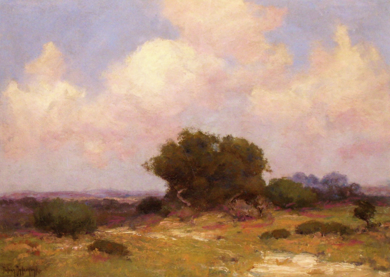 The Boerne Hills, S. W. Texas by Julian Onderdonk,16x12(A3) Poster