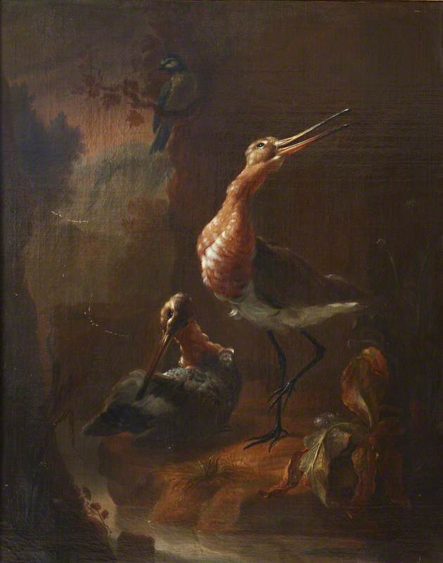 Two Godwits by a Stream with a Blue Tit on a Branch Above, vintage artwork by Jan Weenix, 12x8" (A4) Poster