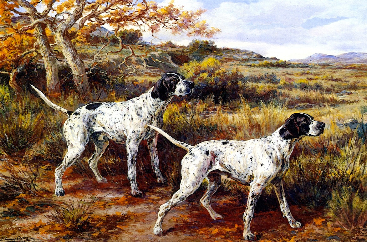Two Pointers on Scent by Edmond H. Osthaus,A3(16x12")Poster