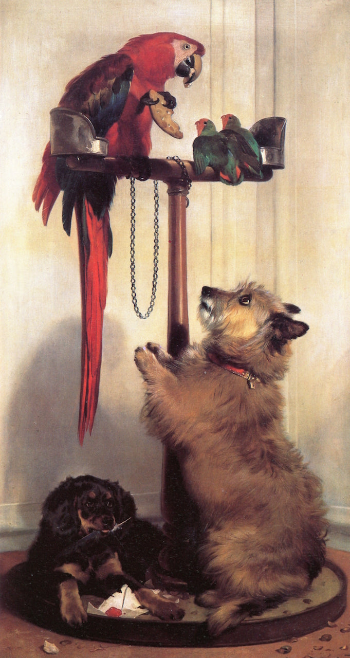 Macaw, Love Birds, Terrier and spaniel Puppies, Belonging to Her Majesty, vintage artwork by Sir Edwin Landseer, A3 (16x12") Poster Print