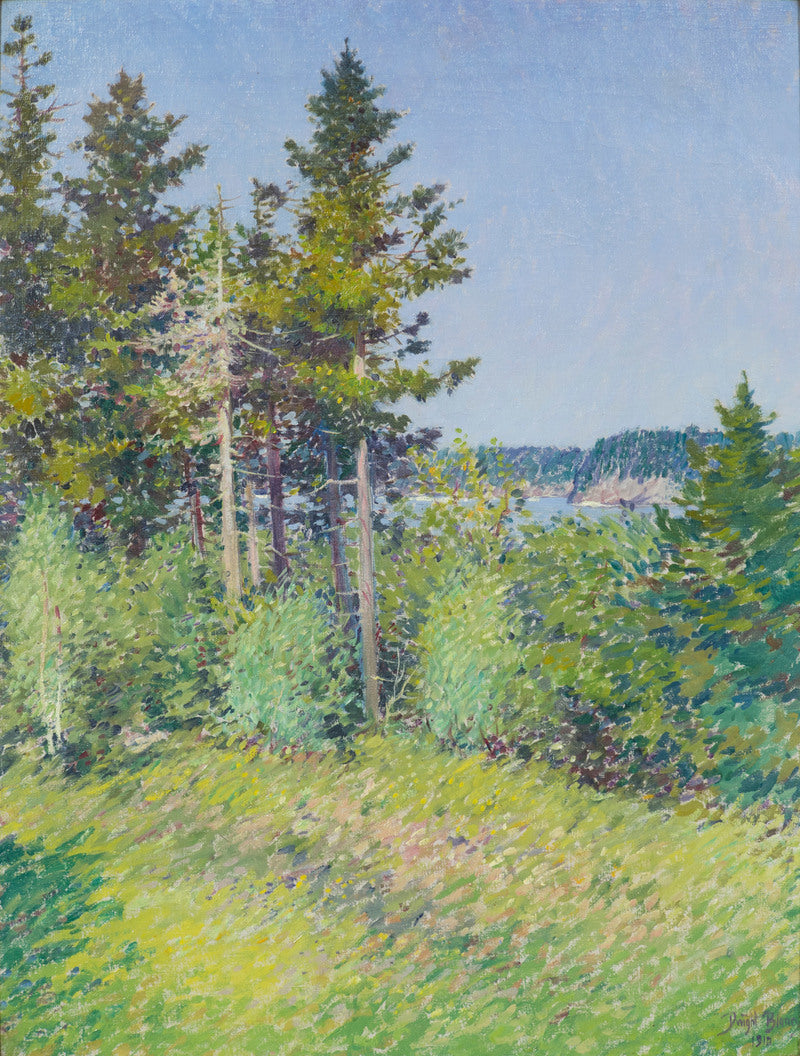 Glimpse of Otter Cliffs, vintage artwork by Dwight Blaney, 12x8" (A4) Poster