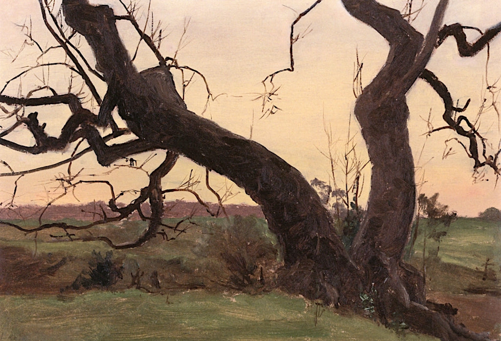 Twisted Trunks, vintage artwork by Lockwood de Forest, 12x8" (A4) Poster