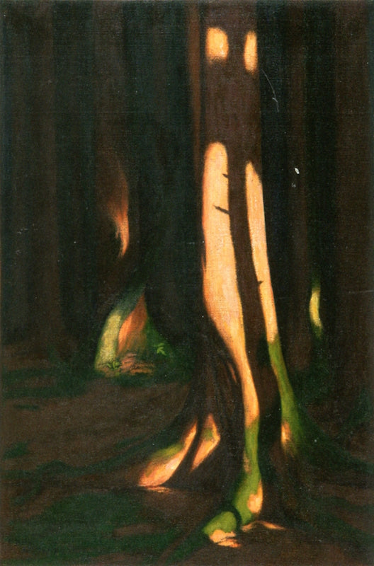 Hard Shadow Cast on Spruce, vintage artwork by Hans Emmenegger, 12x8" (A4) Poster