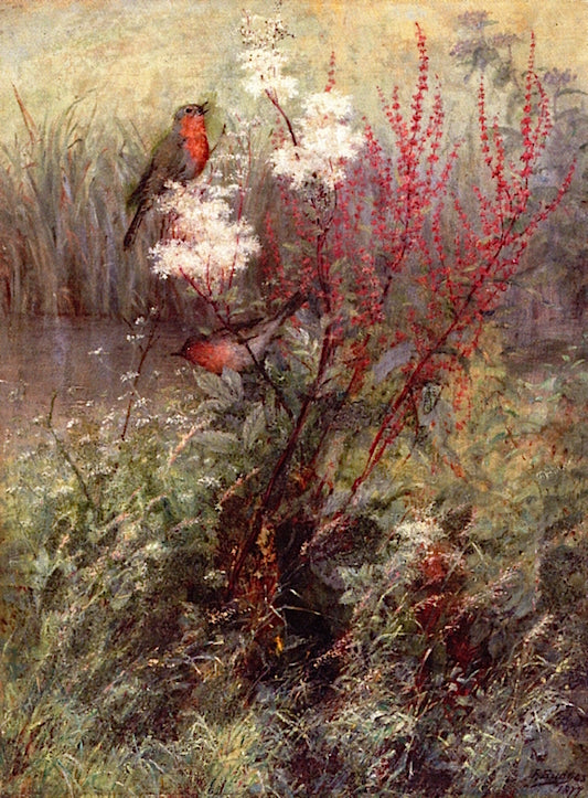 Songbirds in a Woodland Marsh, vintage artwork by Fidelia Bridges, 12x8" (A4) Poster