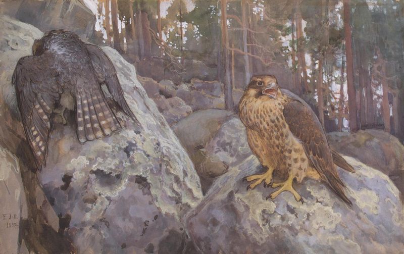Falcons in the Forest by Eero Jarnefelt,A3(16x12")Poster