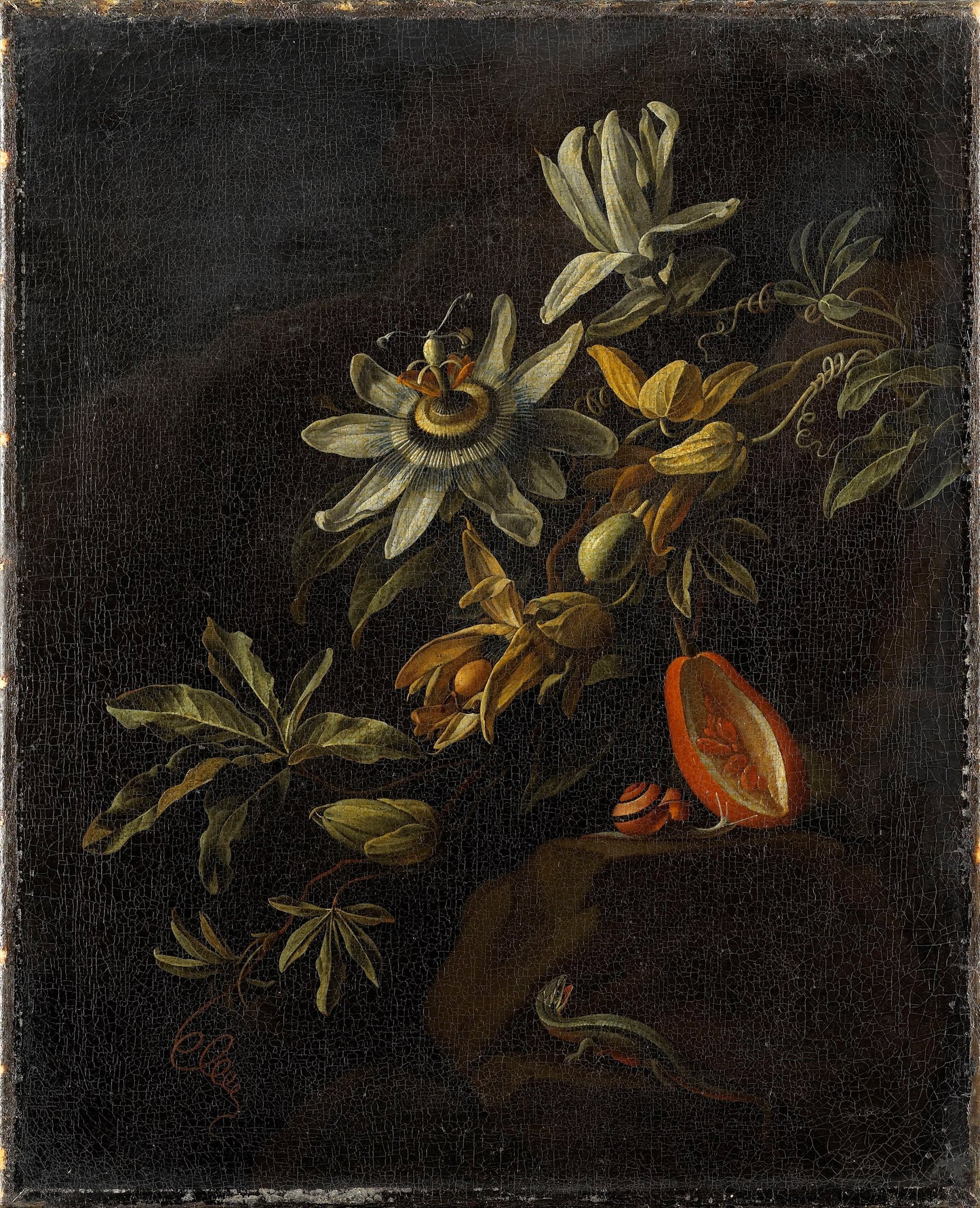 Still Life with Passion Flowers, vintage artwork by Elias van den Broeck, 12x8" (A4) Poster