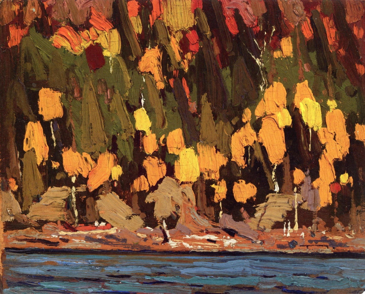 Birches and Cedars by Tom Thomson,16x12(A3) Poster