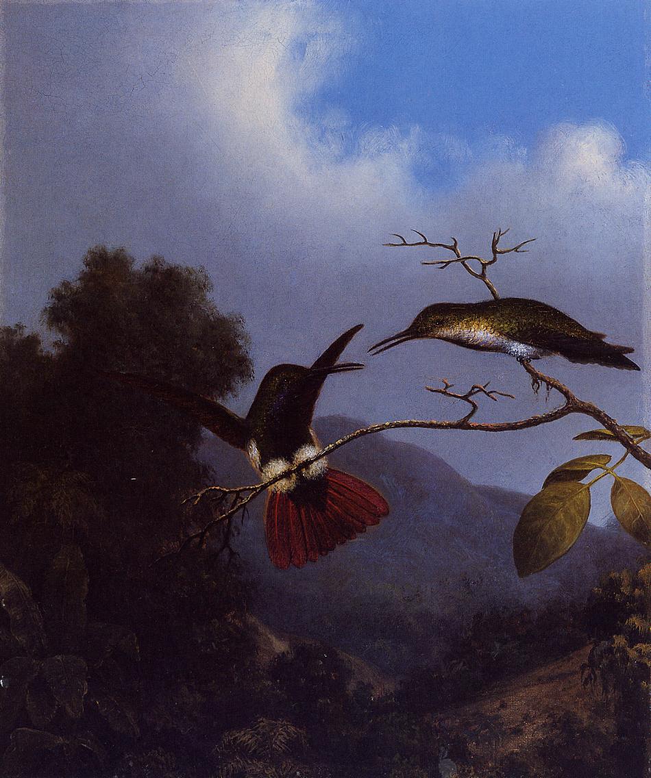 Black-Throated Mango, vintage artwork by Martin Johnson Heade, A3 (16x12") Poster Print
