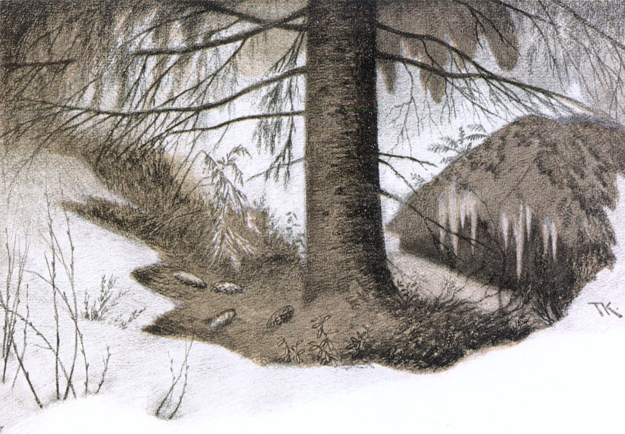 Forest's Wintergarden by Theodor Severin Kittelsen,A3(16x12")Poster
