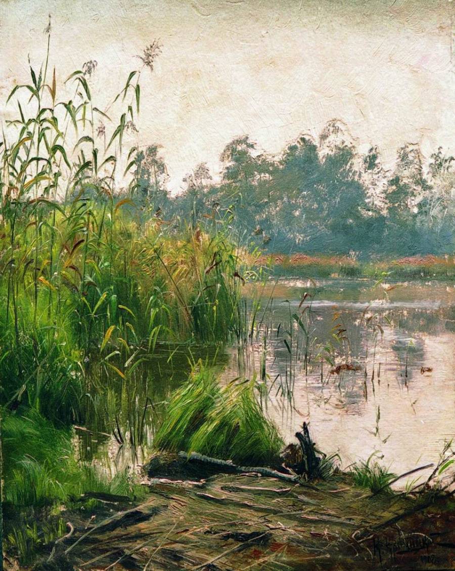 Sedge by Konstantin Kryzhitsky,A3(16x12")Poster