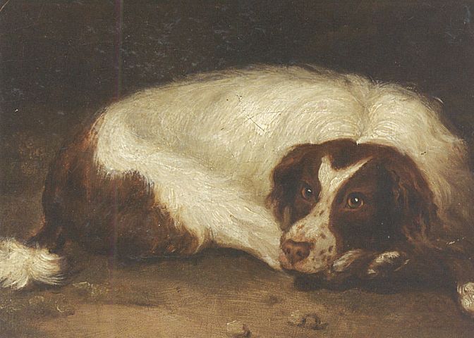 A sporting dog lying down, vintage artwork by Johann Christoph Rincklake, 12x8" (A4) Poster