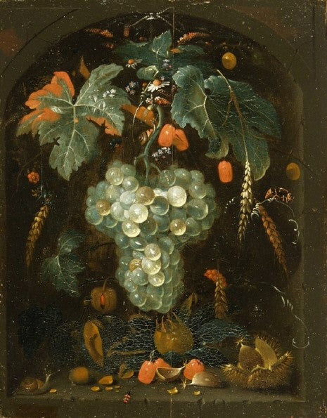 Grapes in a Niche, vintage artwork by Abraham Mignon, 12x8" (A4) Poster