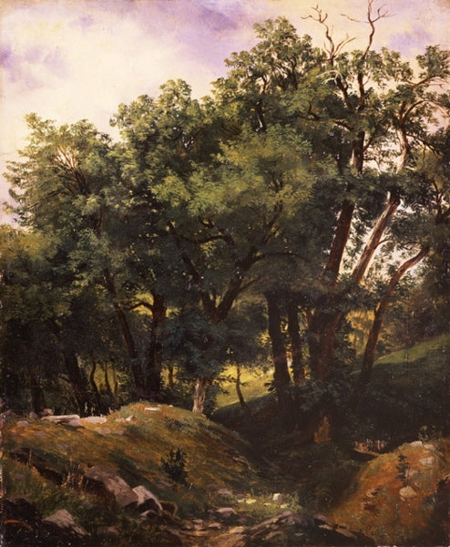 Waldpartie (Landscape), vintage artwork by Alexandre Calame, A3 (16x12") Poster Print