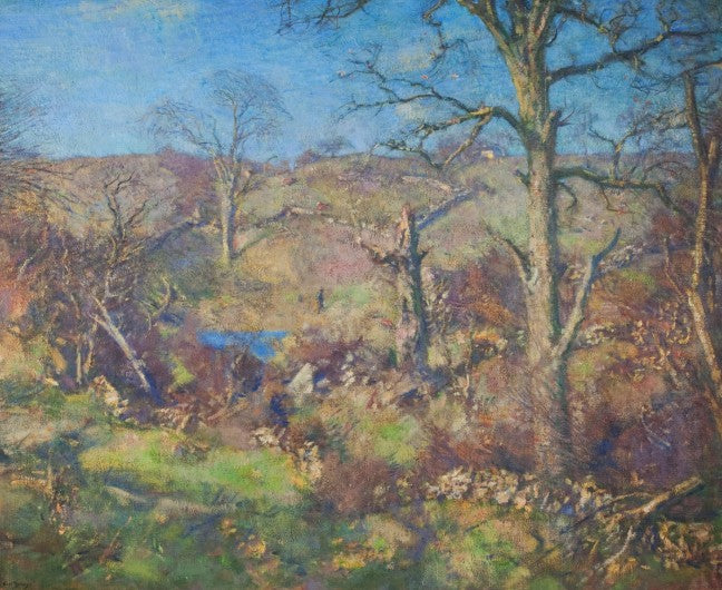 Sunny Hillside by Charles Harold Davis,A3(16x12")Poster