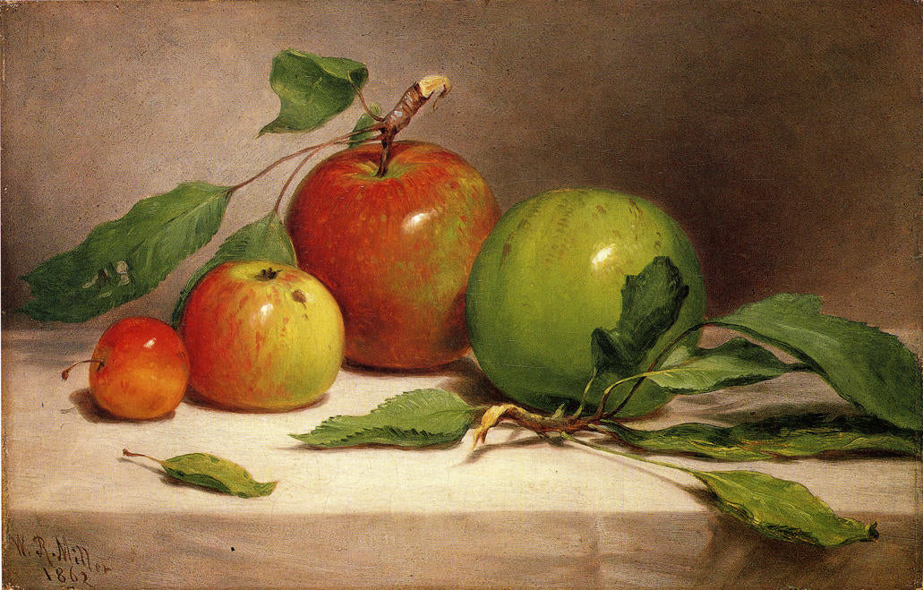 Still Life - Study of Apples, vintage artwork by William Rickarby Miller, A3 (16x12") Poster Print