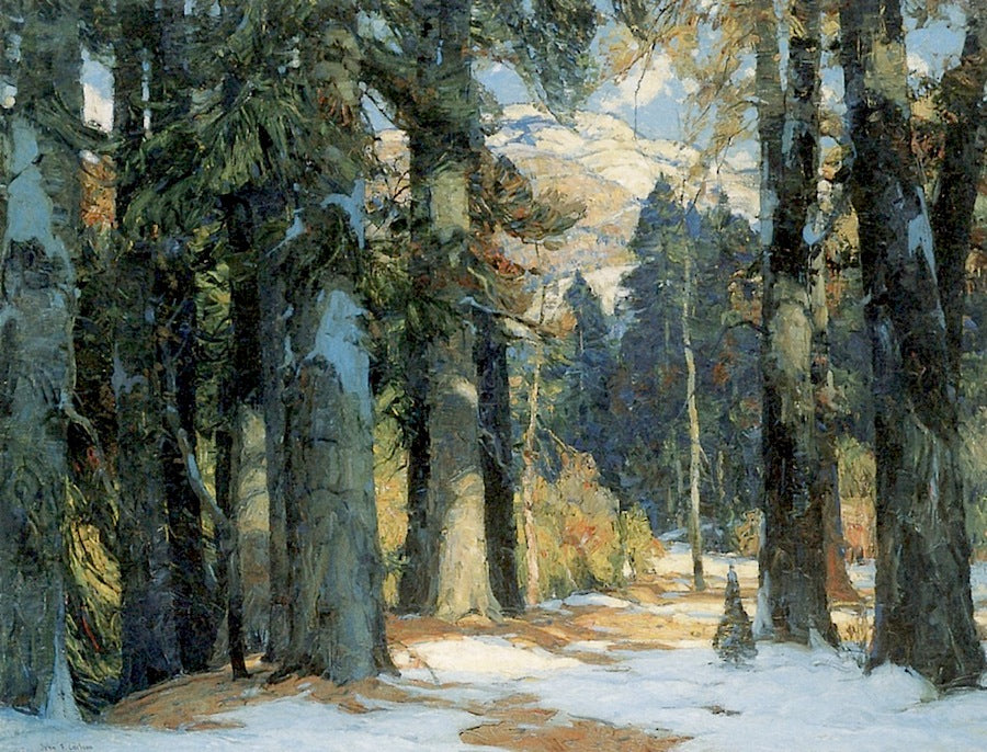 Sunlit Aisles by John F. Carlson,16x12(A3) Poster