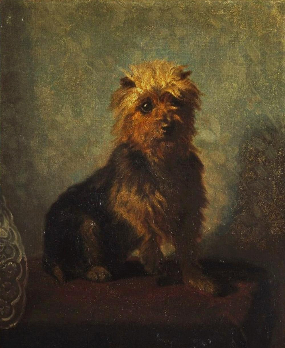 Chadwick’s Dog, vintage artwork by Abbott Handerson Thayer, 12x8" (A4) Poster