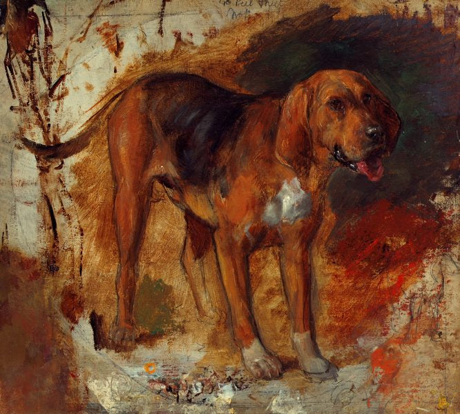 Study of a bloodhound, vintage artwork by William Holman Hunt, 12x8" (A4) Poster