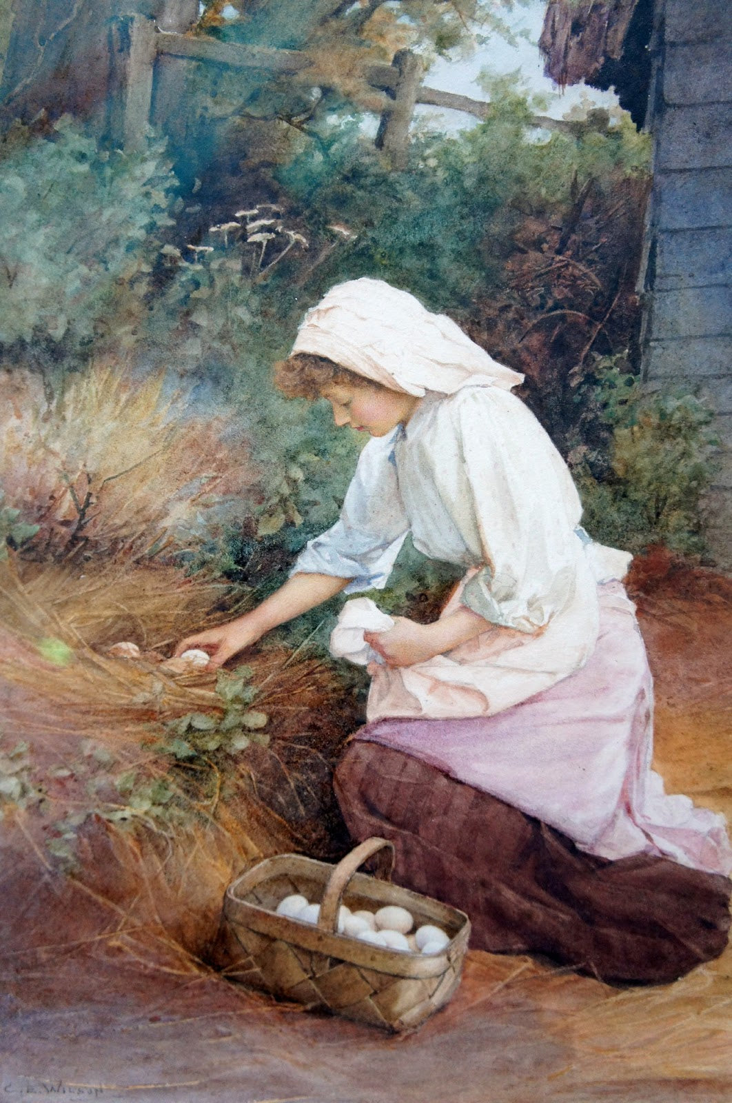 The Egg Collector, vintage artwork by Charles Edward Wilson, 12x8" (A4) Poster