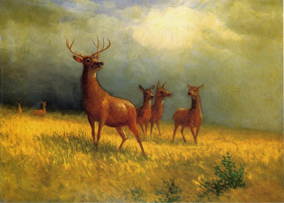 Deer in a Field, vintage artwork by Albert Bierstadt, 12x8" (A4) Poster