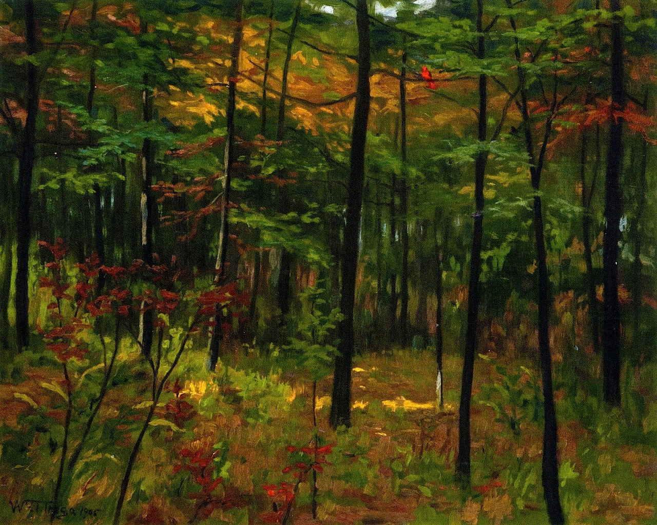 The Cardinal, vintage artwork by William Trego, 12x8" (A4) Poster