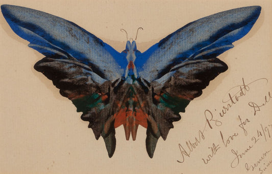 Butterfly, For Dell, vintage artwork by Albert Bierstadt, 12x8" (A4) Poster