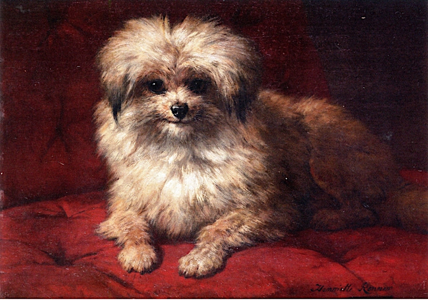 Fido, vintage artwork by Henriette Ronner-Knip, A3 (16x12") Poster Print