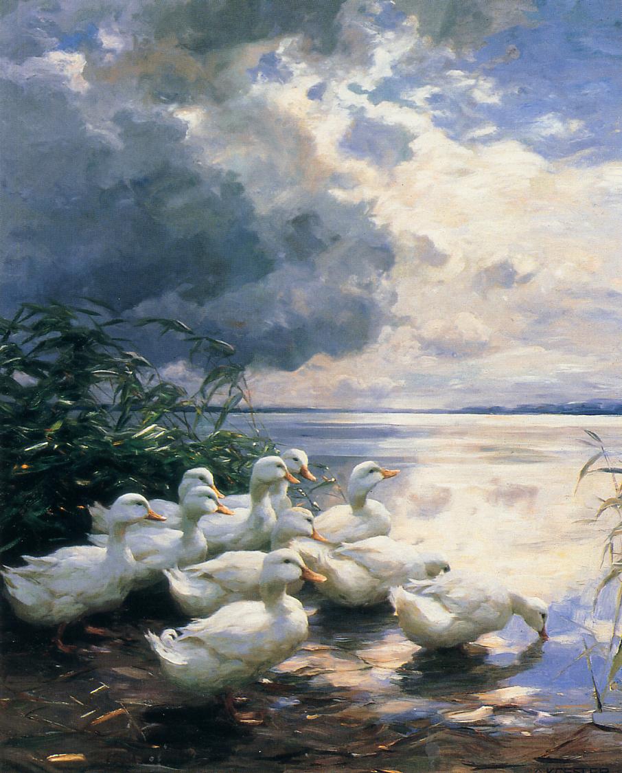Ducks in the Morning, vintage artwork by Alexander Koester, 12x8" (A4) Poster