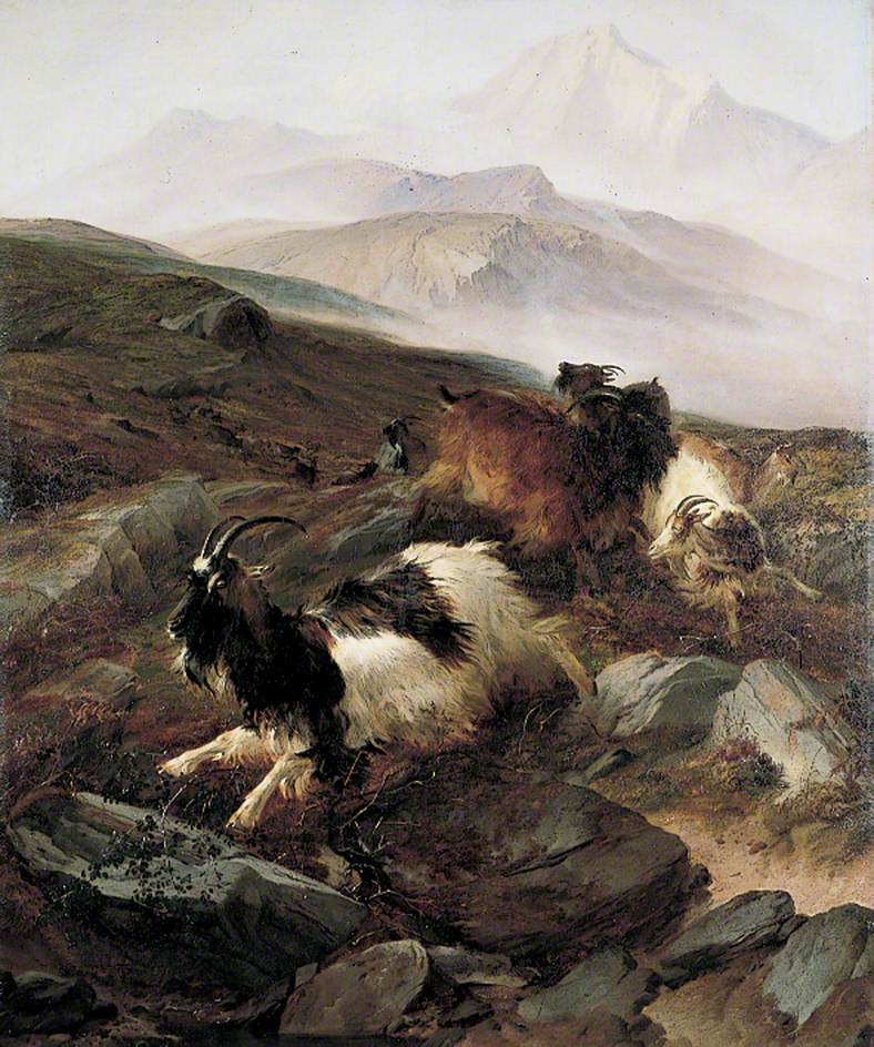 Catching Wild Goats on Moel Siabod, vintage artwork by Thomas Sidney Cooper, A3 (16x12") Poster Print