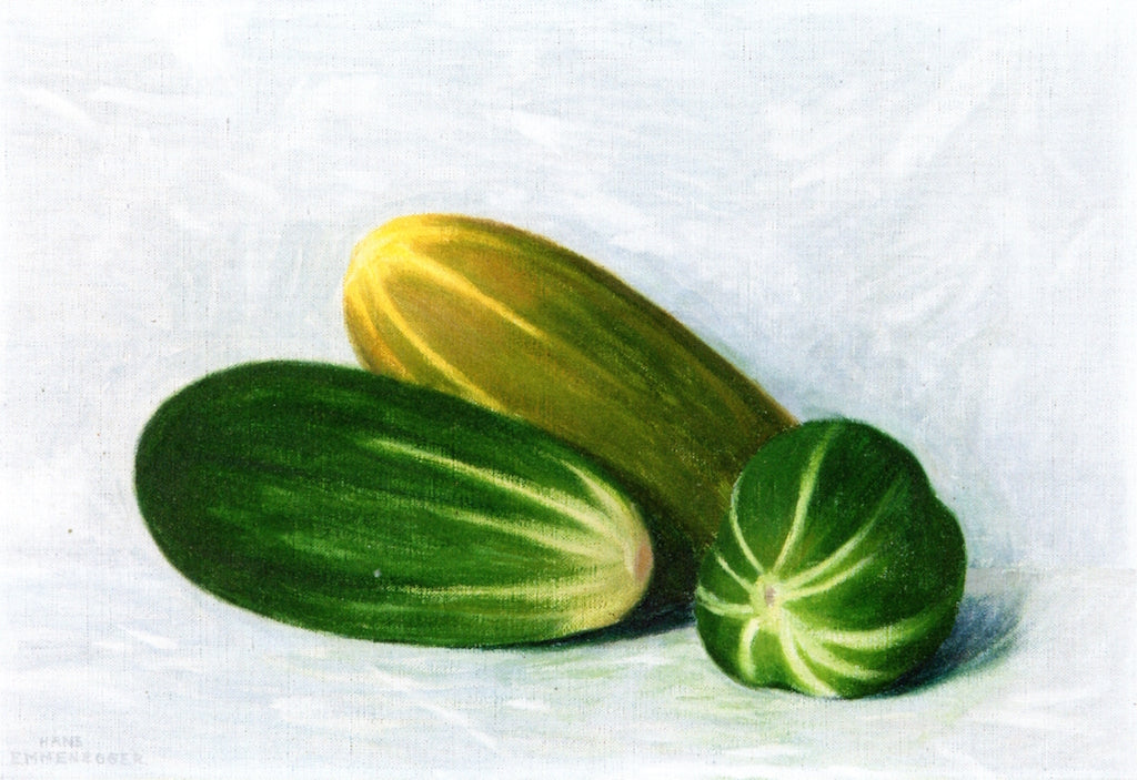 Cucumbers, vintage artwork by Hans Emmenegger, 12x8" (A4) Poster