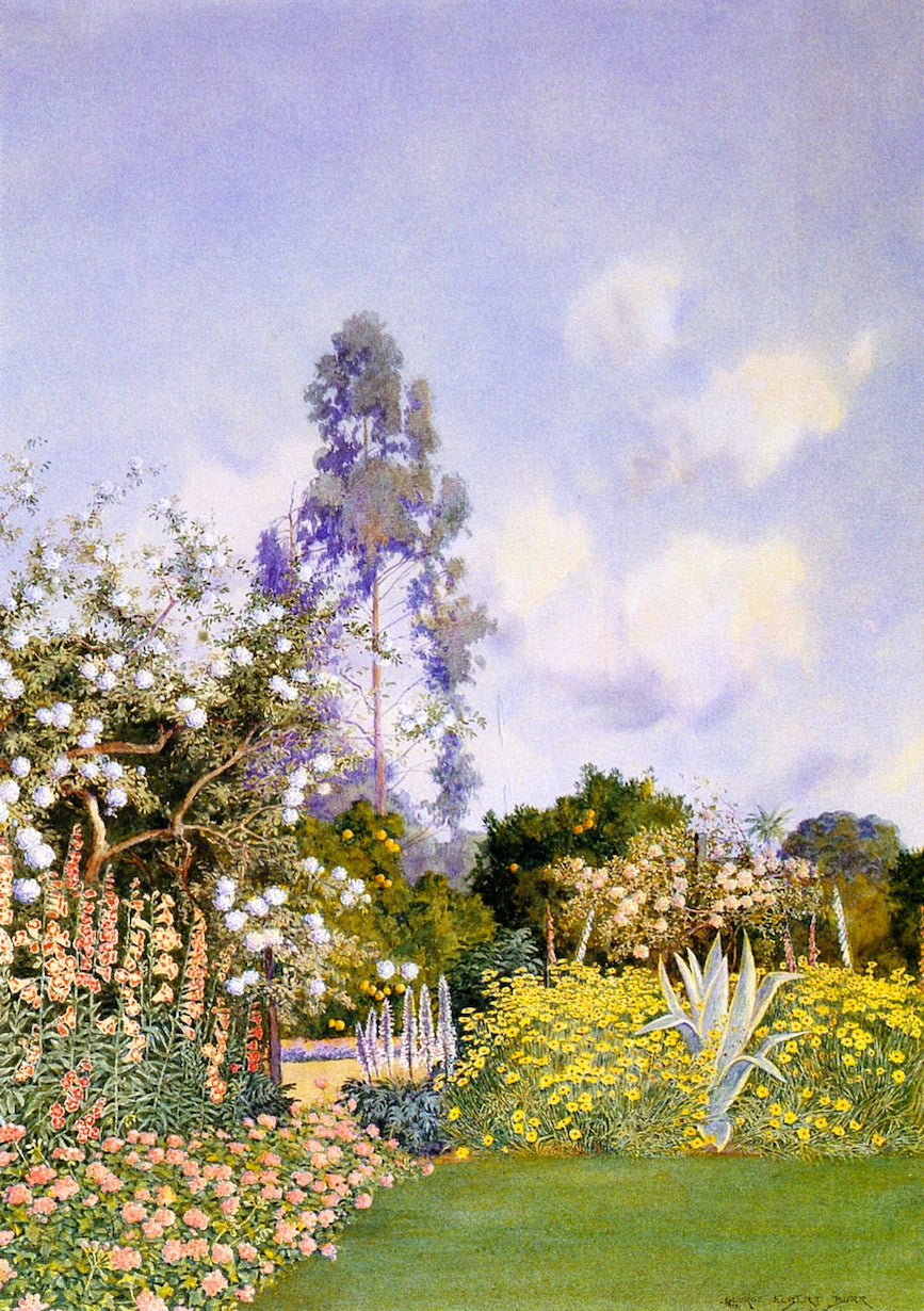Santa Barbara Gardens, vintage artwork by George Elbert Burr, 12x8" (A4) Poster