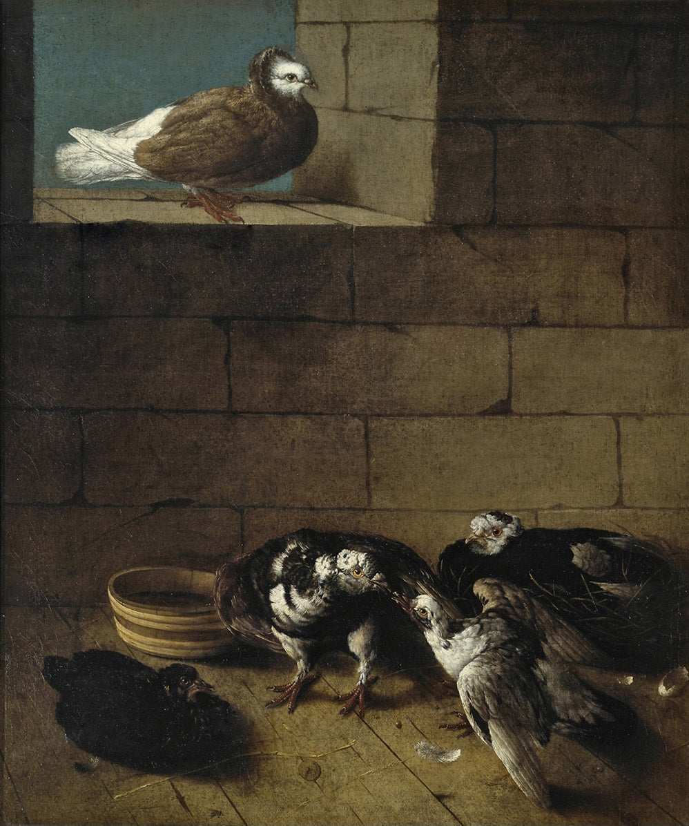 Pigeons, vintage artwork by Johann Friedrich Grooth, 12x8" (A4) Poster