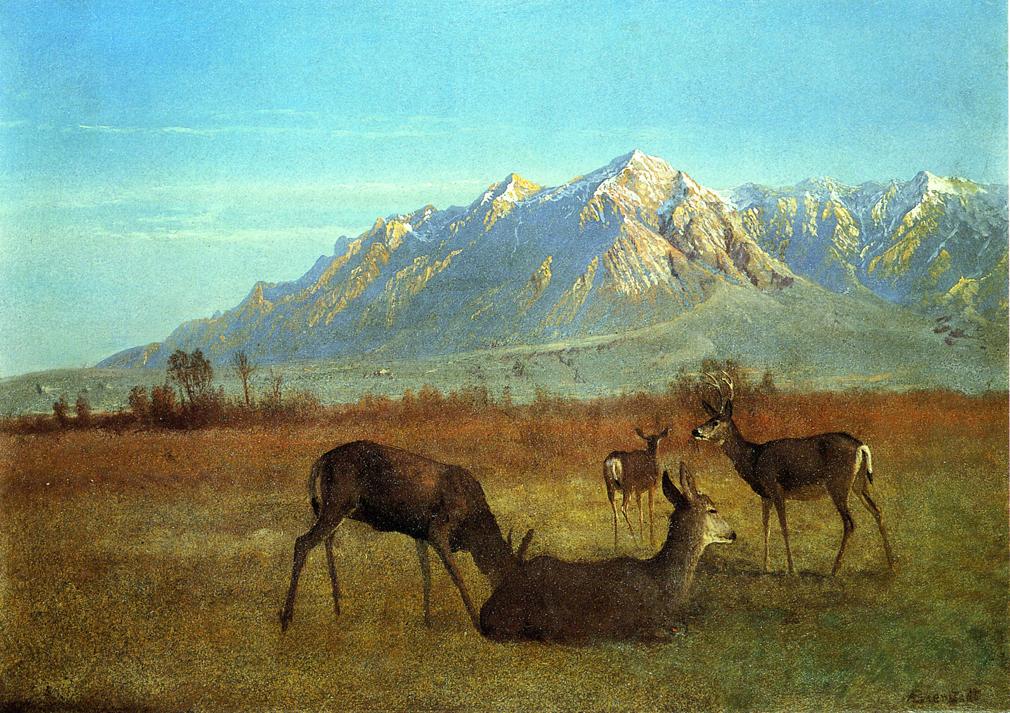 Deer in a Mountain Home, vintage artwork by Albert Bierstadt, 12x8" (A4) Poster
