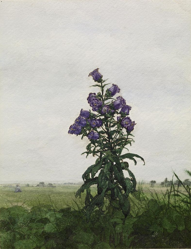 Canterbury Bells, vintage artwork by Leon Bonvin, 12x8" (A4) Poster