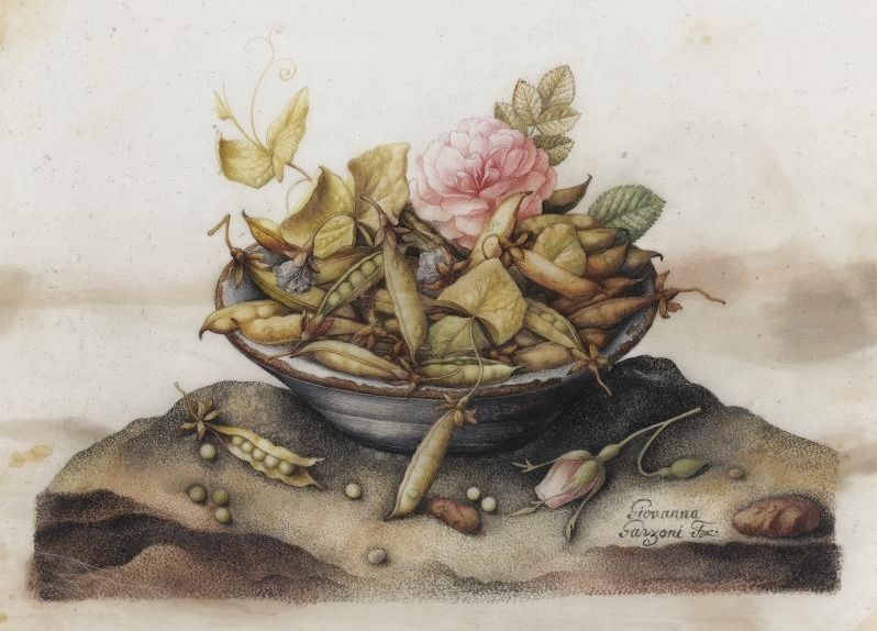 A Still Life With A Bowl Of Sugar-Snap Peas, And Pink Roses, vintage artwork by Giovanna Garzoni, 12x8" (A4) Poster