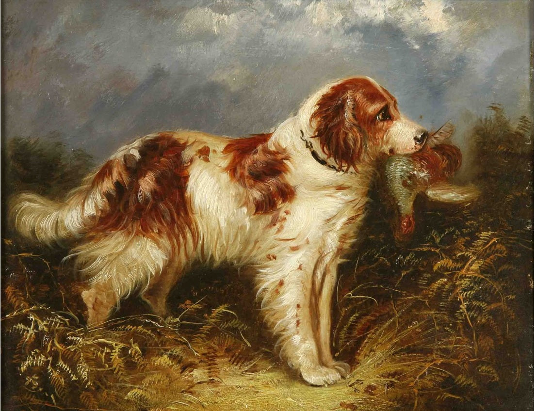 Red and White Retriever with a Partridge, vintage artwork by Edward Armfield, A3 (16x12") Poster Print