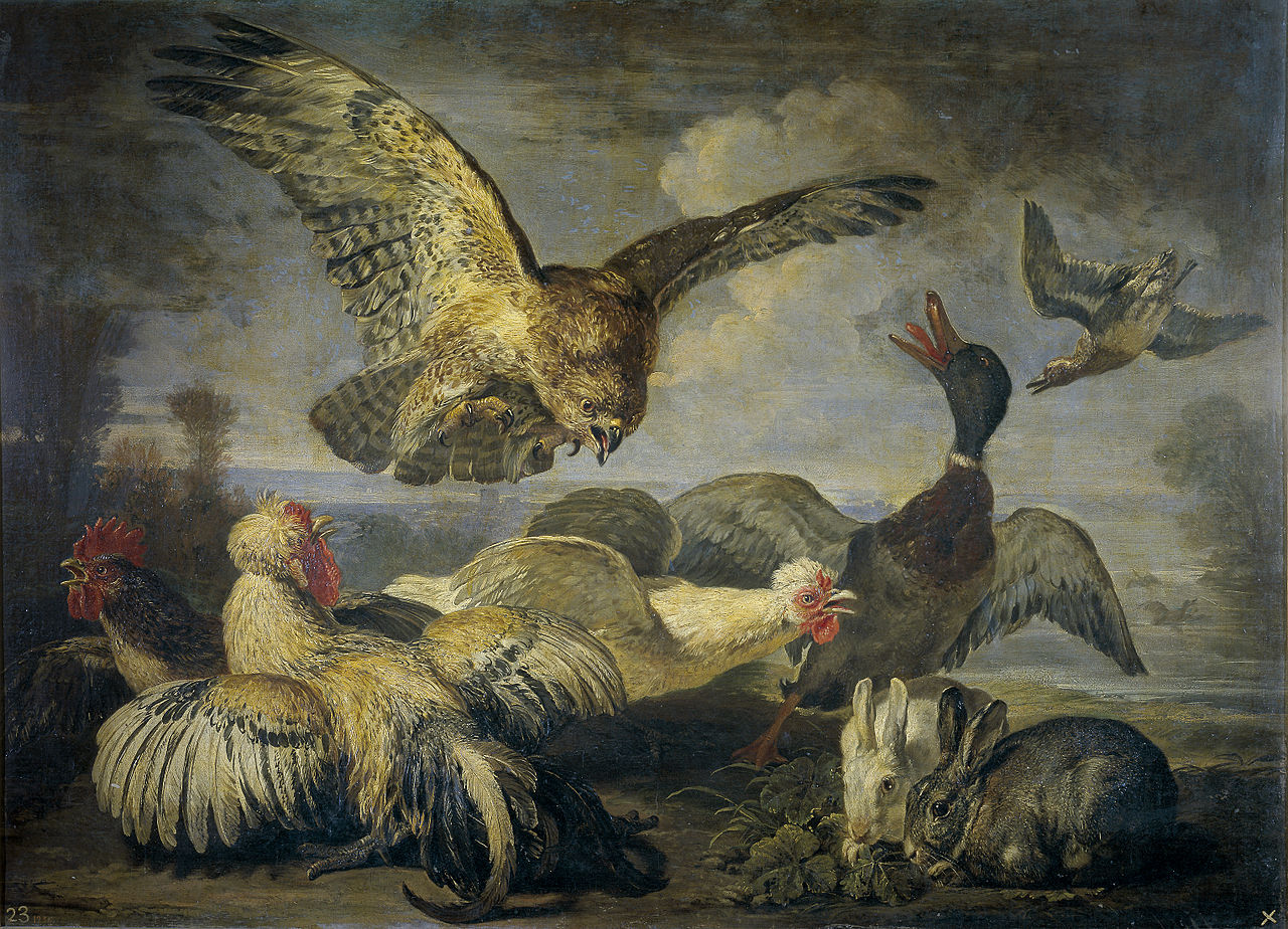 Poultry and rabbits attacked by a bird of prey, vintage artwork by David de Coninck, 12x8" (A4) Poster