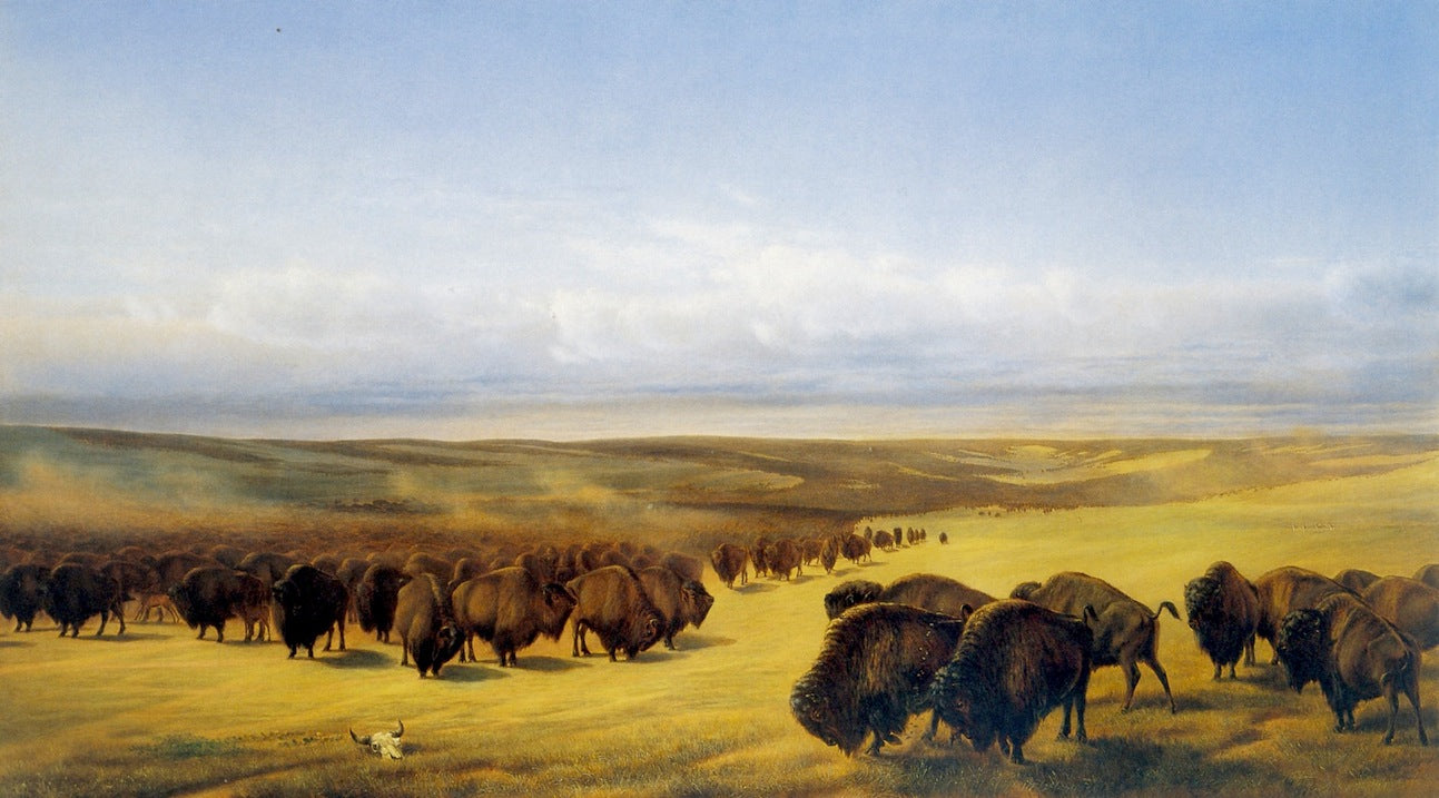 The Gathering of the Herds, vintage artwork by William Jacob Hays, 12x8" (A4) Poster