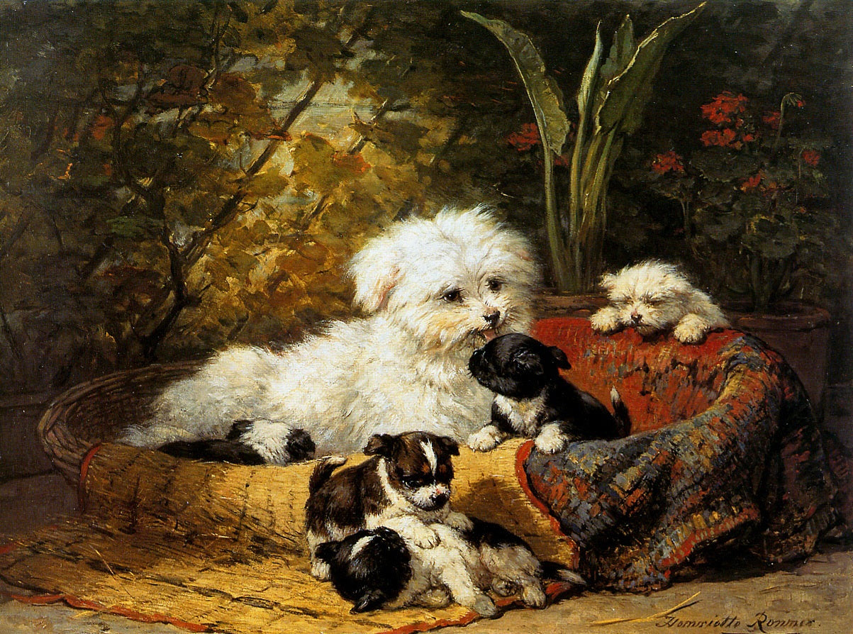 A Cairn Terrier with Pups, vintage artwork by Henriette Ronner-Knip, A3 (16x12") Poster Print